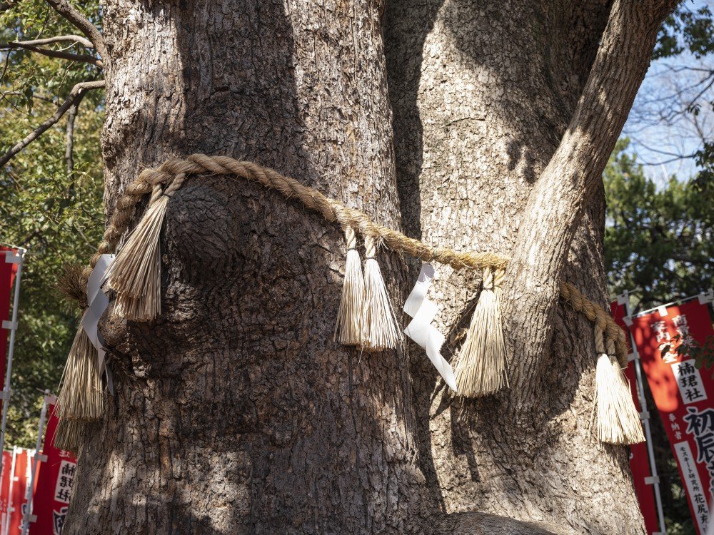 ⛩️ 스미요시 대사 이미지 8